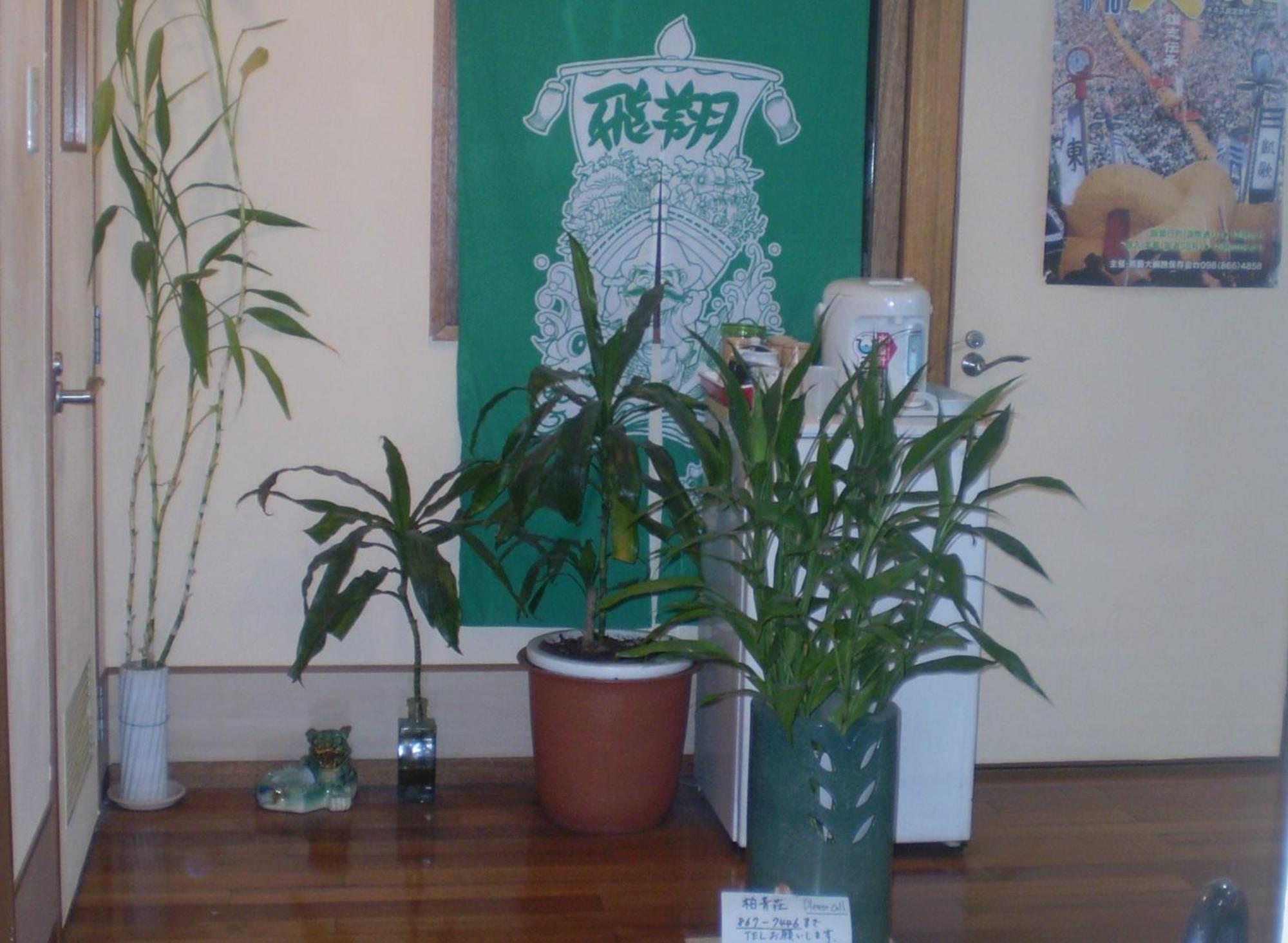 Hostel Hakuseiso Naha Luaran gambar