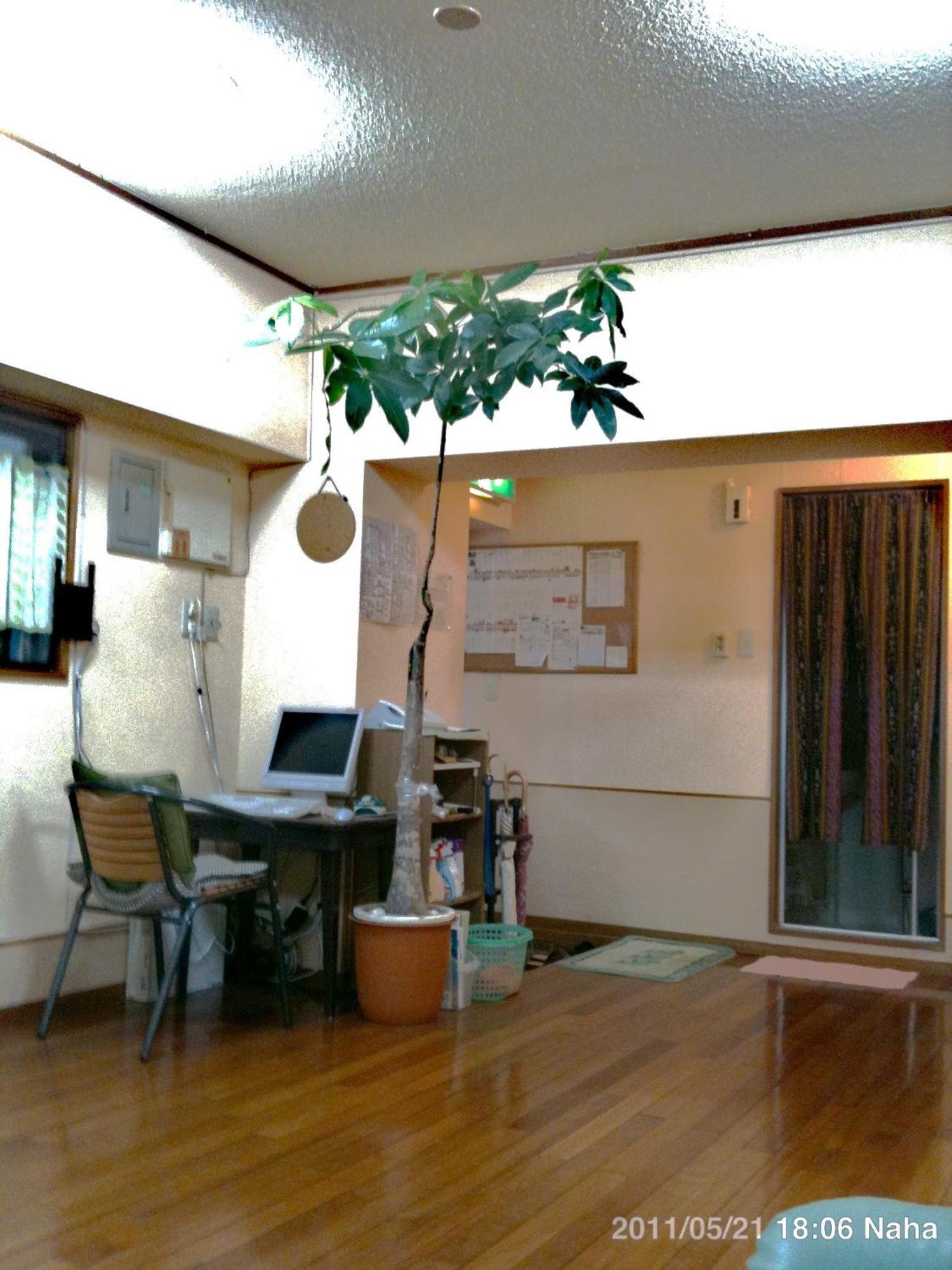 Hostel Hakuseiso Naha Luaran gambar